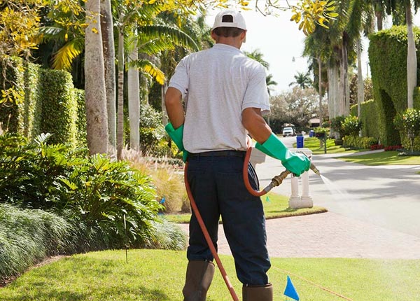 About Arthurdale WV Pest Control